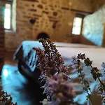 Thousand Ally Boutique Hotel
