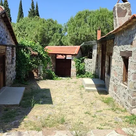 Hotel Thousand Ally Boutique Yenisakran