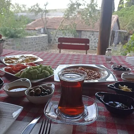 Hotel Thousand Ally Boutique