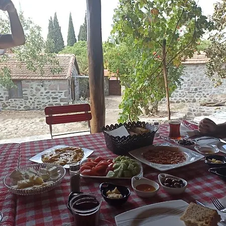 Thousand Ally Boutique Hotel *