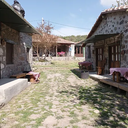 Hotel Thousand Ally Boutique