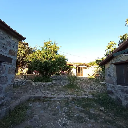 Thousand Ally Boutique *