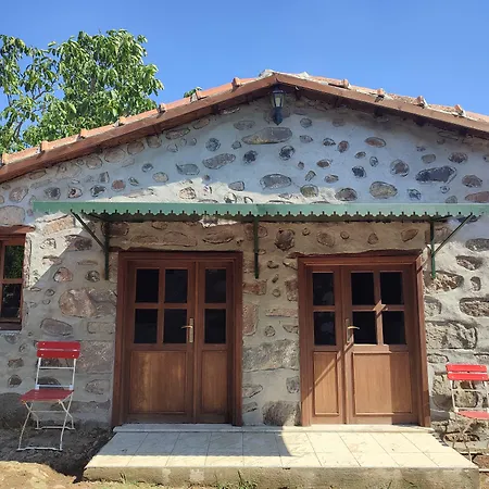 Hotel Thousand Ally Boutique Yenisakran