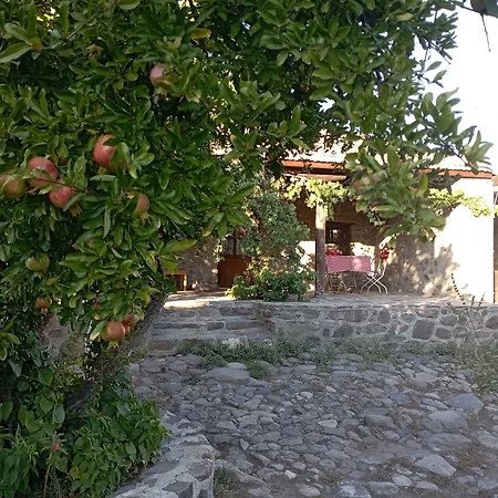 Thousand Ally Boutique Hotel *