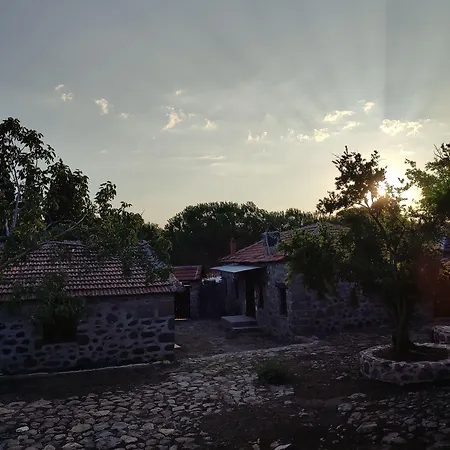 Thousand Ally Boutique Hotel