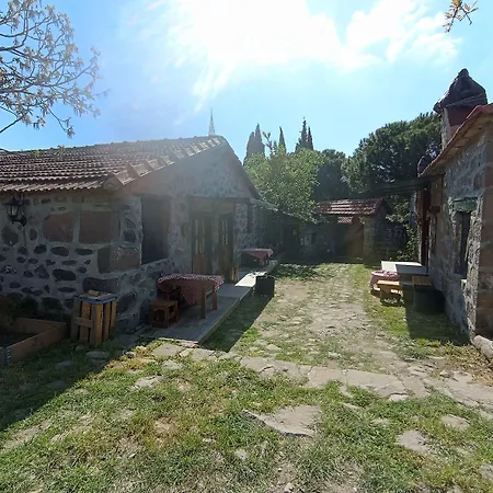 Thousand Ally Boutique מלון