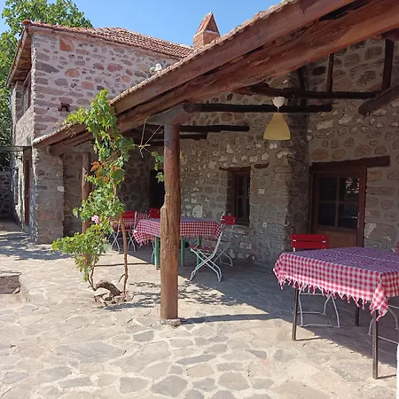 Thousand Ally Boutique