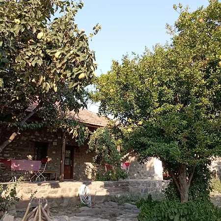 Thousand Ally Boutique Yenisakran