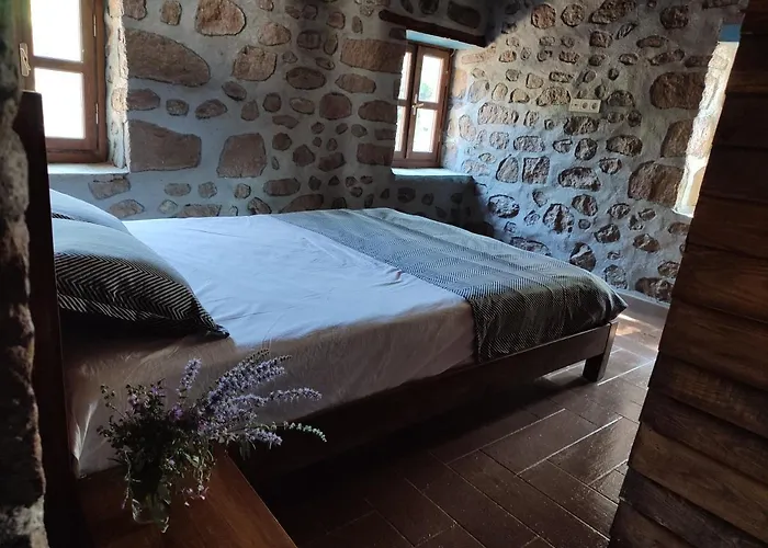 Thousand Ally Boutique * Yenisakran