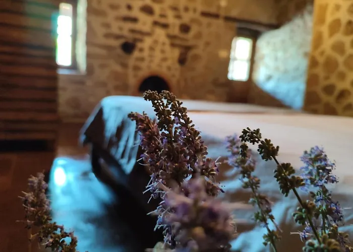 Thousand Ally Boutique מלון