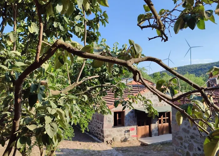 Thousand Ally Boutique מלון *