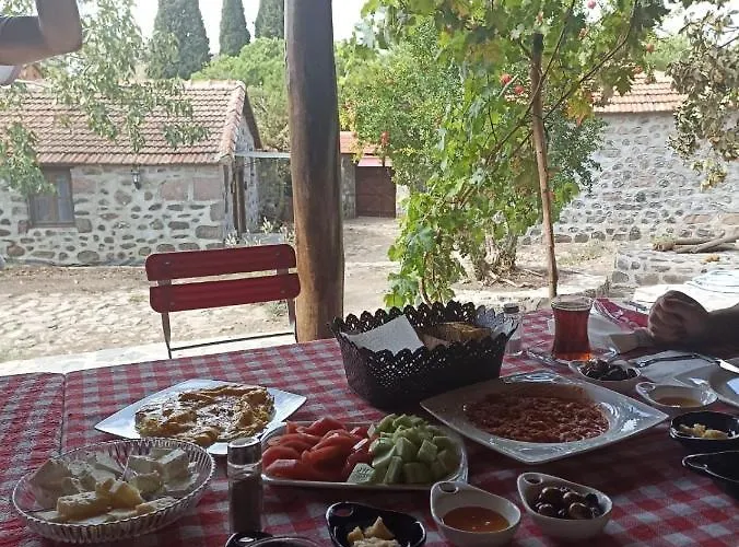 Thousand Ally Boutique מלון *