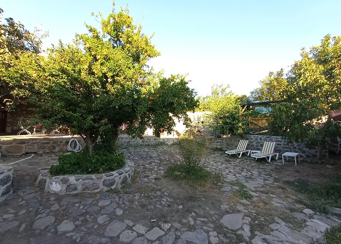 מלון Thousand Ally Boutique *