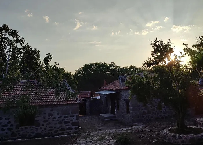 Thousand Ally Boutique מלון