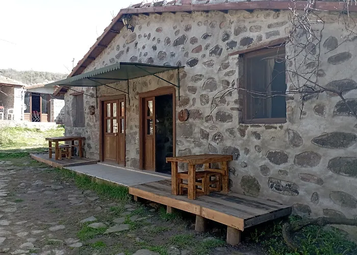 Thousand Ally Boutique