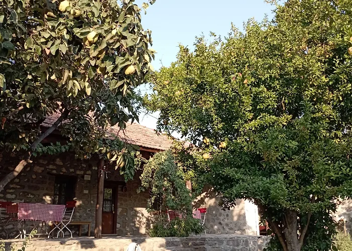 Thousand Ally Boutique Yenisakran