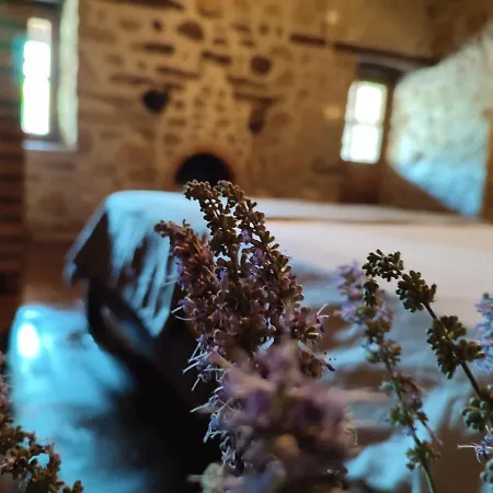 Thousand Ally Boutique Отель