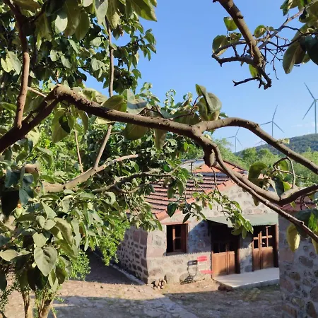 Thousand Ally Boutique ホテル *