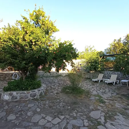 Отель Thousand Ally Boutique *