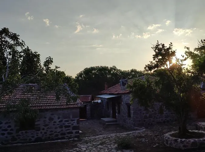 Thousand Ally Boutique Yenisakran