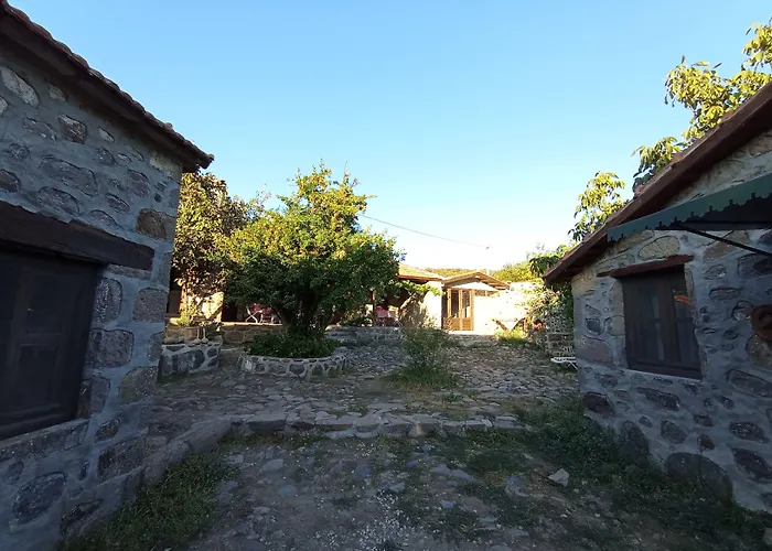 Thousand Ally Boutique *