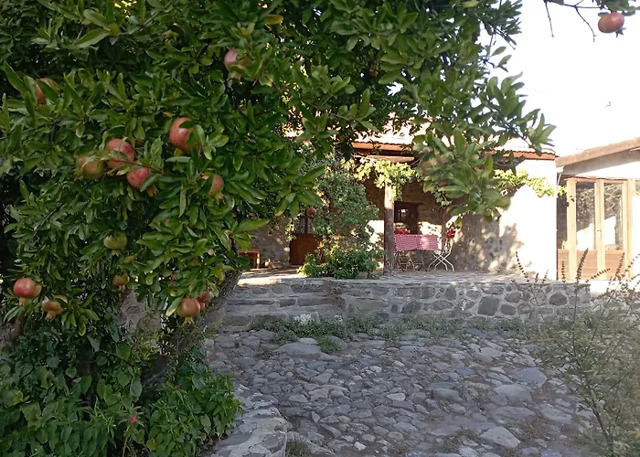 Thousand Ally Boutique Otel *