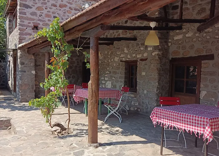 Thousand Ally Boutique