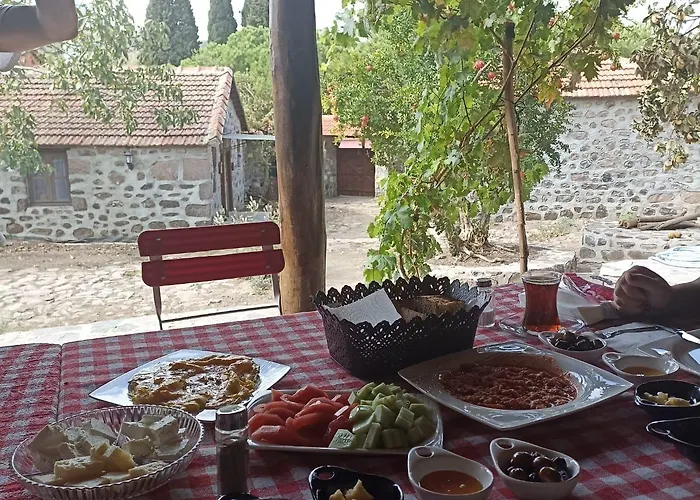 Thousand Ally Boutique Yenisakran