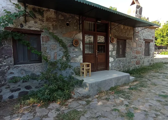 Thousand Ally Boutique Yenisakran